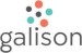 Galison Galison