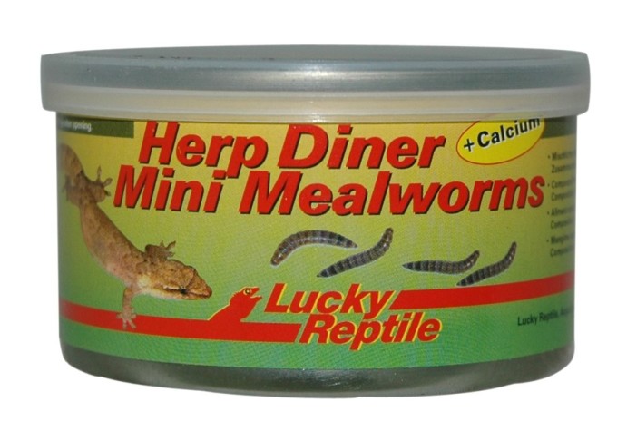Lucky Reptile Herp Diner - múčne červy 35g Múčne červy mini 35g