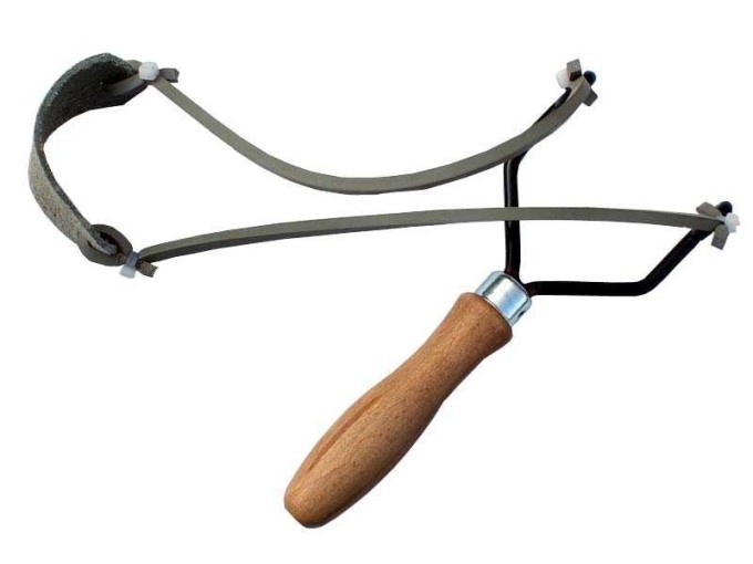 Český prak – dospělý