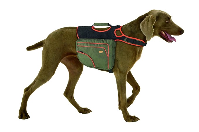 Karlie Batoh pre psov zeleno-oranžový reflexný veľ. L
