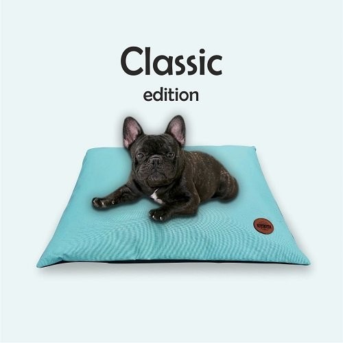 REDANT Pelech pro psy Polštář hranatý Mentolová L