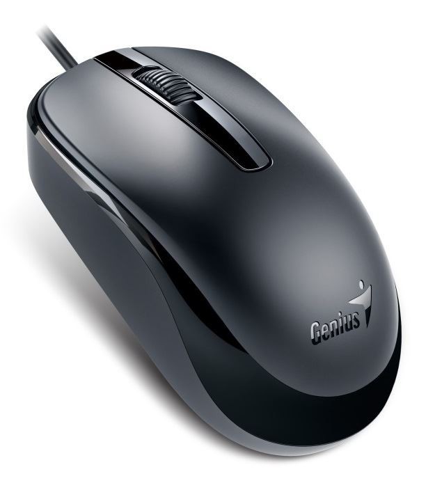 Genius myš DX-120, optická, 1200 dpi, drátová, USB, černá