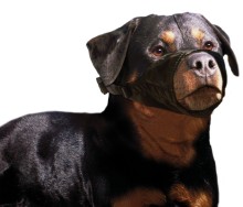 Karlie Náhubok pre psa nylon XL, obvod papule 29cm