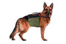 Karlie Batoh pre psov zeleno-oranžový reflexný veľ. XL