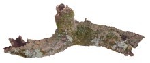 Lucky Reptile korok Rustica 3-10 cm priemer, 30-50 cm dlhé (ks)