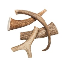 Odmena pre psy, Jelení paroh celý-XXL