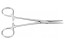 Svorka anatomická - peán, rovná - velikost 13cm