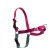 PetSafe® Postroj EasyWalk malinový M